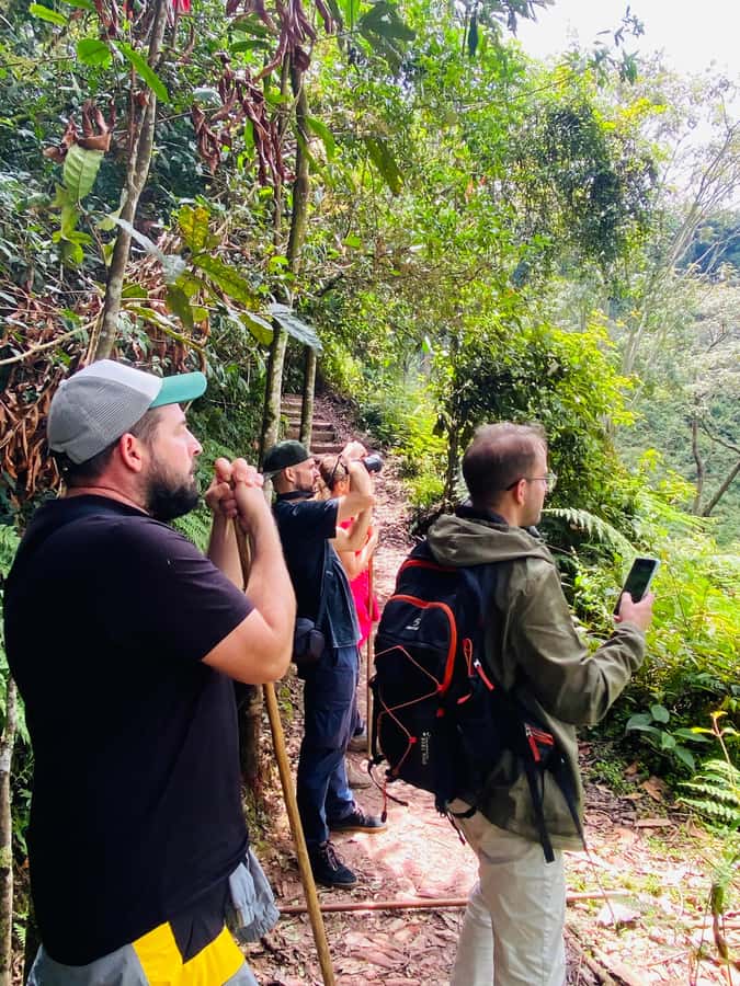 From Kigali: 2 days chimpanzee trekking and canopy walk - Key points before you book