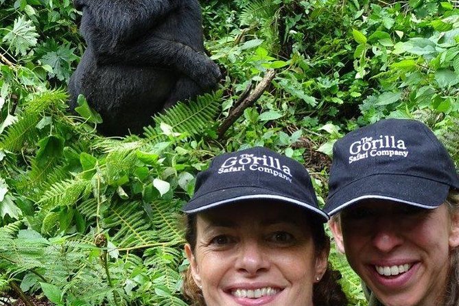 From Kigali: 3 Days Gorillas and golden monkeys trek Adventure - Why this three-day Rwanda route works
