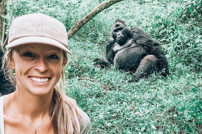 From Kigali: 3 Days Gorillas and golden monkeys trek Adventure - Day 2: The gorilla trek in Volcanoes National Park