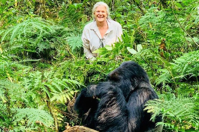 From Kigali: 3 Days Gorillas and golden monkeys trek Adventure - Day 3: Golden monkeys and the return to Kigali