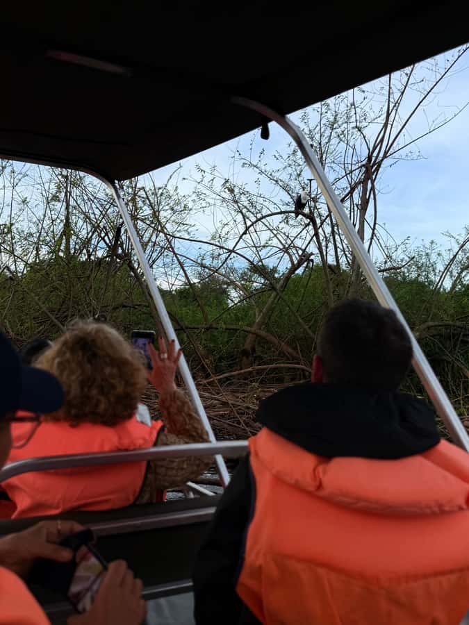 From Kigali: Akagera National Park Safari game drive - Lakeside lunch and the sundowner stop