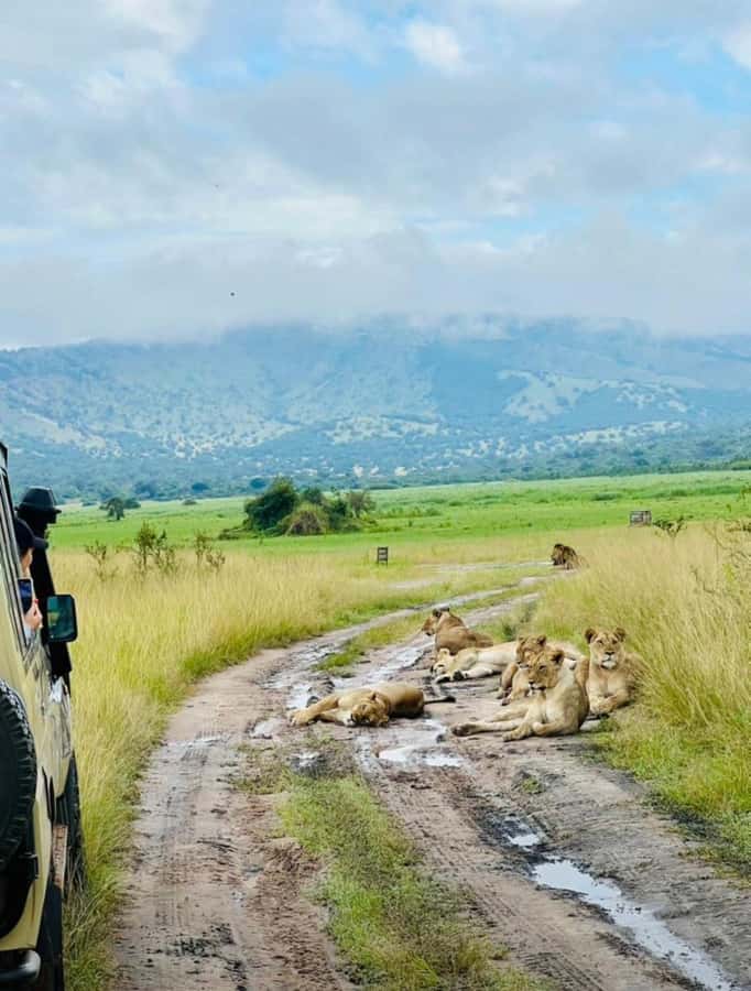 From Kigali: Akagera National Park Safari game drive - Who will enjoy this safari most?