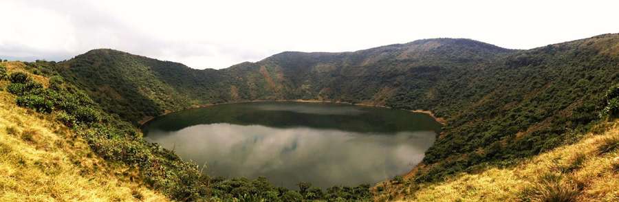 From Kigali: Bisoke Summit Trek, Crater Lake 1 Day Safari - The trailhead at 2,700 meters