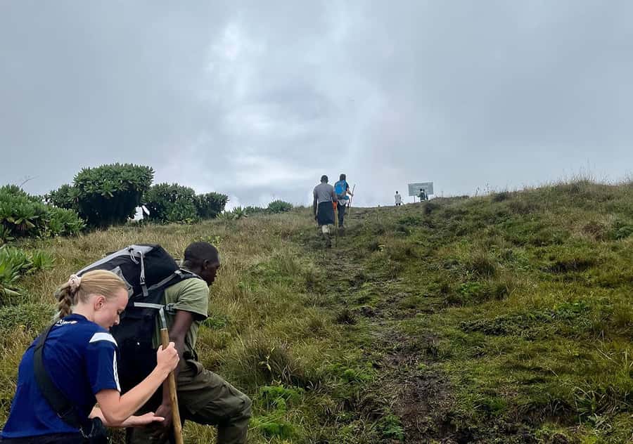 From Kigali: Bisoke Summit Trek, Crater Lake 1 Day Safari - The crater lake at the summit