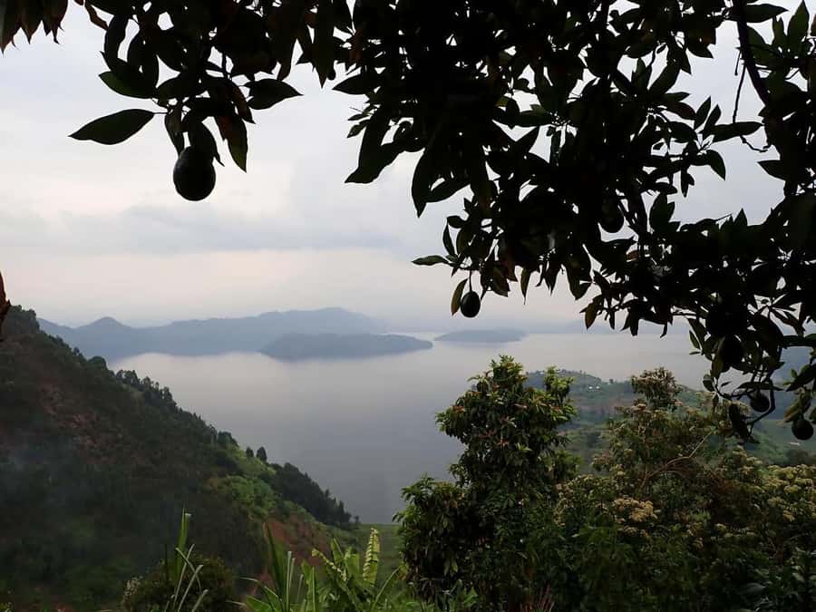 From Kigali: Twin Lakes Burera and Ruhondo Day Trip - What $260 per person really buys