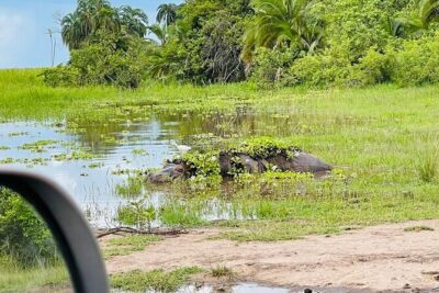 Full Day Akagera National Park Game Drive and Boat Safari