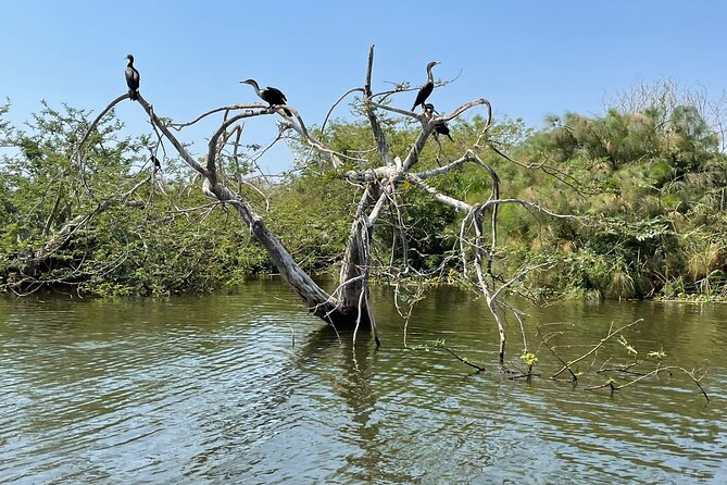 Full Day Akagera National Park Game Drive and Boat Safari - Practical ways to prepare for the road