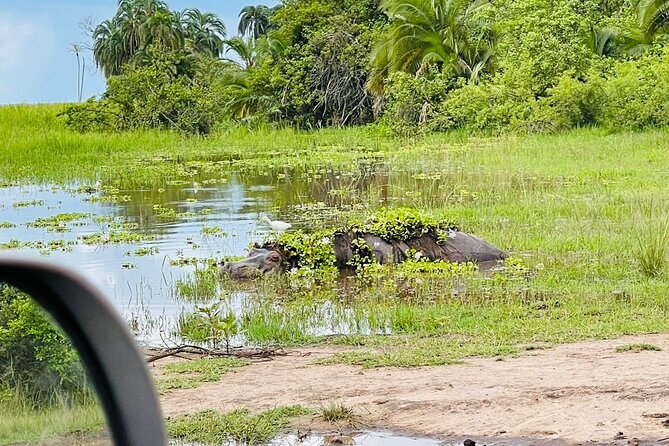 Full Day Akagera National Park Game Drive and Boat Safari - Imigongo Art Center makes a useful first stop