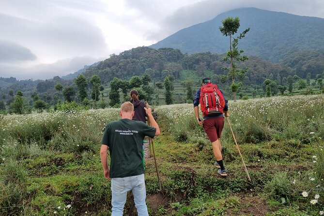Full day Mt. Bisoke hike - Quick facts for your mountain day