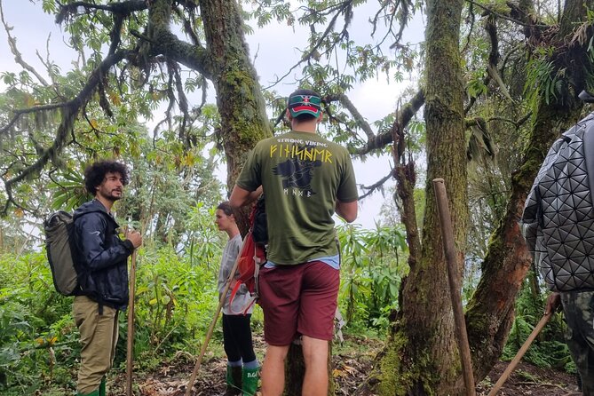 Full day Mt. Bisoke hike - Mt. Muhabura: the longest and toughest option