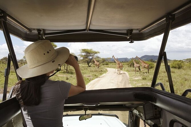 Full-Day Private Akagera National Park Tour with Lunch - The afternoon drive toward northern Akagera
