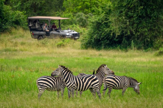 Full-Day Private Akagera National Park Tour with Lunch - Leaving Kigali at 5:00 am