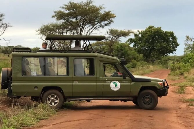 Full-Day Private Safari of Akagera National Park with Lunch - A practical pause at Imigongo Art Center