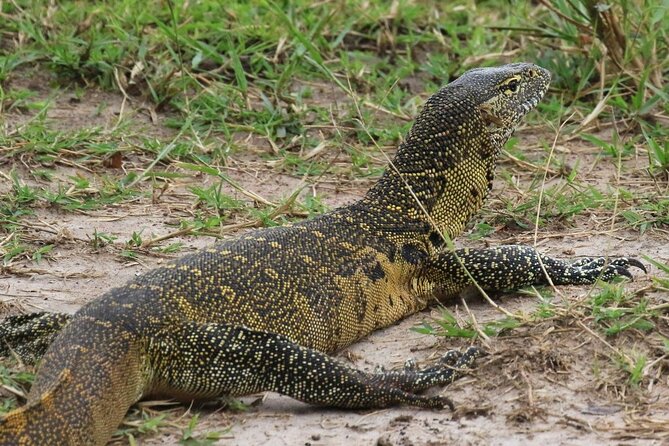 Full Day Shared Akagera Safari Tour with Lunch and Coffee - Is $390 good value?