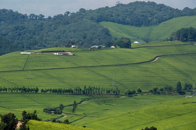 Gisenyi city tour - Mount Rubavu and Its World War II Story