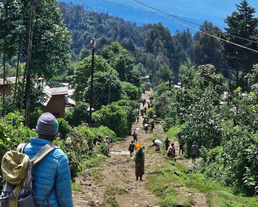 Golden Monkey Trekking with lunch - Key points to know before you book