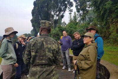 Gorilla Trekking Adventure – A Day trip (Only transfer)