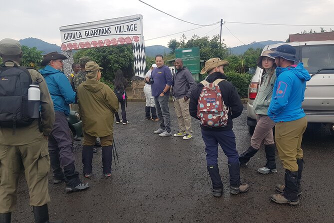 Gorilla Trekking Adventure - A Day trip (Only transfer) - Who should choose this experience?