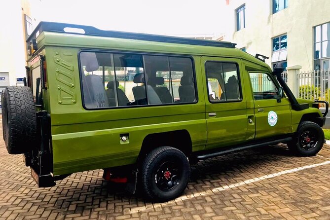 Gorilla trekking &wildlife adventure in Rwanda - Nyungwe Forest for chimpanzees and birds