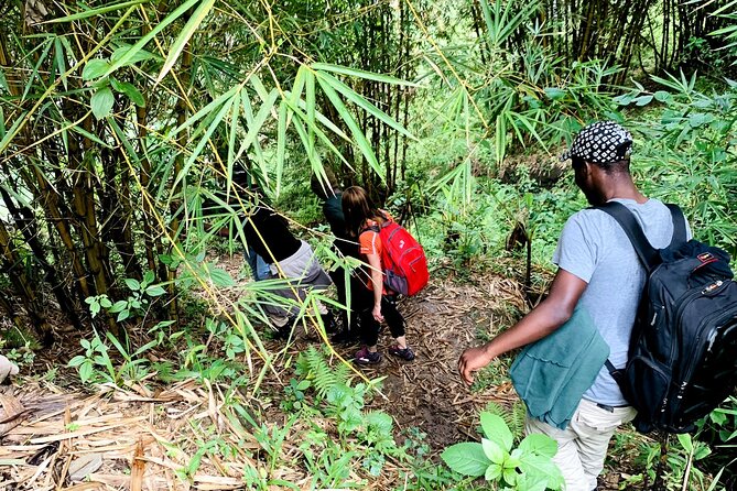 Hiking Binana Mountain & Waterfalls in Rwanda - Key points at a glance