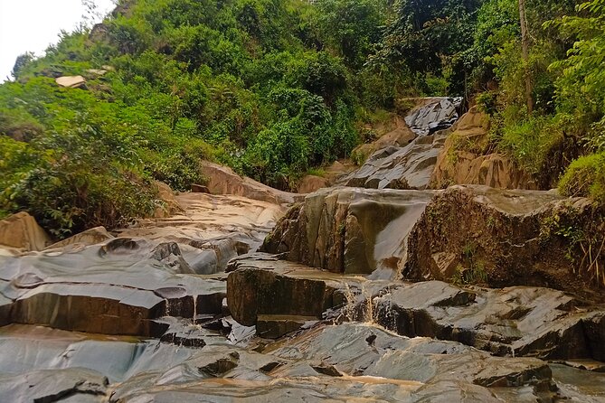 Hiking Binana Mountain & Waterfalls in Rwanda - The 1:30 return through forest to Vunga