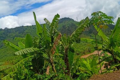 Hiking Binana Mountain & Waterfalls in Rwanda