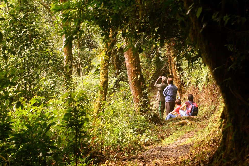 Kigali:1 Day Nyungwe Canopy Walk & Waterfall Tour adventure - Key points to know before you book