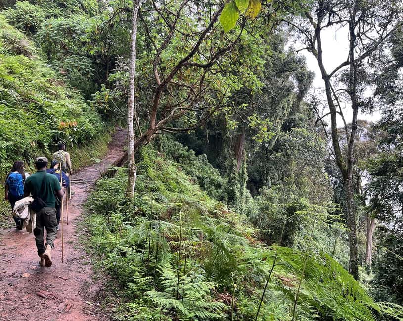 Kigali:1 Day Nyungwe Canopy Walk & Waterfall Tour adventure - What to pack for Nyungwe