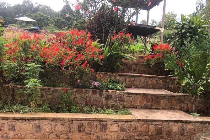Kigali City Tour, Genocide Memorial Visit, Walking Tour in Kigali - Who Will Get the Most From This Experience?