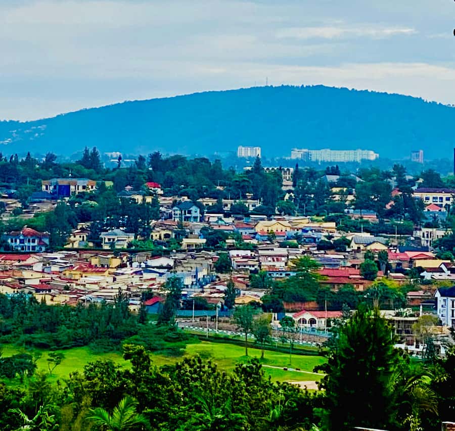 Kigali City Tour: History, Art and Local Highlights. - A short walk around Mount Kigali Forest