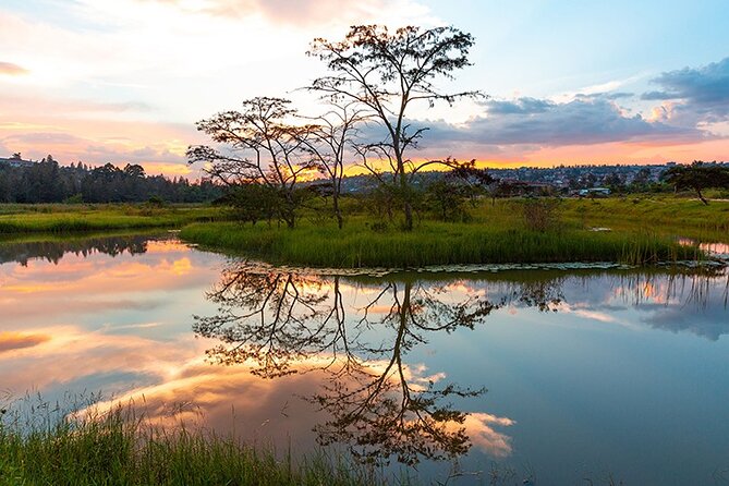 Kigali Day Tour With Lunch and Pickup Service - Choosing between Fazenda Sengha and Nyandungu Eco-Park