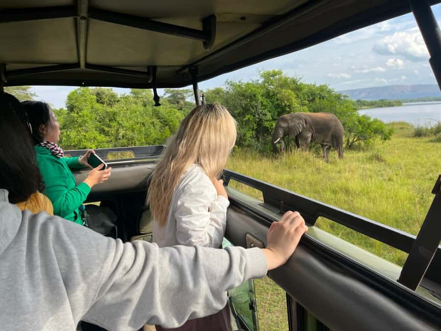 Kigali: Full-Day Akagera Safari + Optional Boat Ride - Why Akagera works as a Kigali day trip