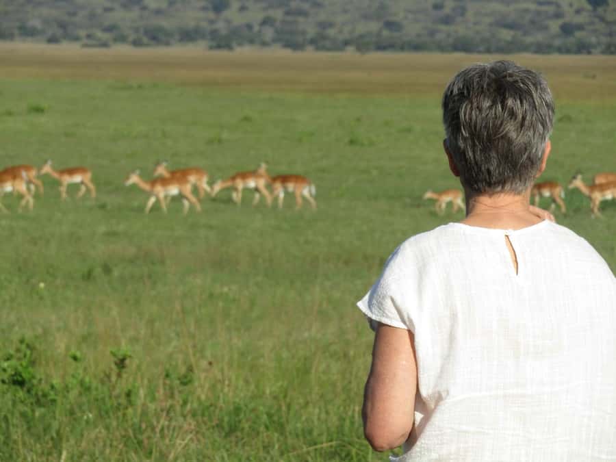 Kigali: Full-Day Akagera Safari + Optional Boat Ride - The return to Kigali and the real cost