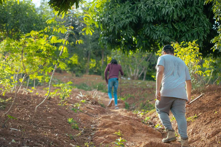 Kigali: Gatsata Village Storytelling Walk to Mount Jali - Practical tips for a better walk