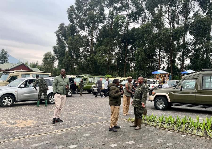 Kigali: Rwanda Gorilla Tracking in Volcanoes National Park - Who should book this gorilla trek?