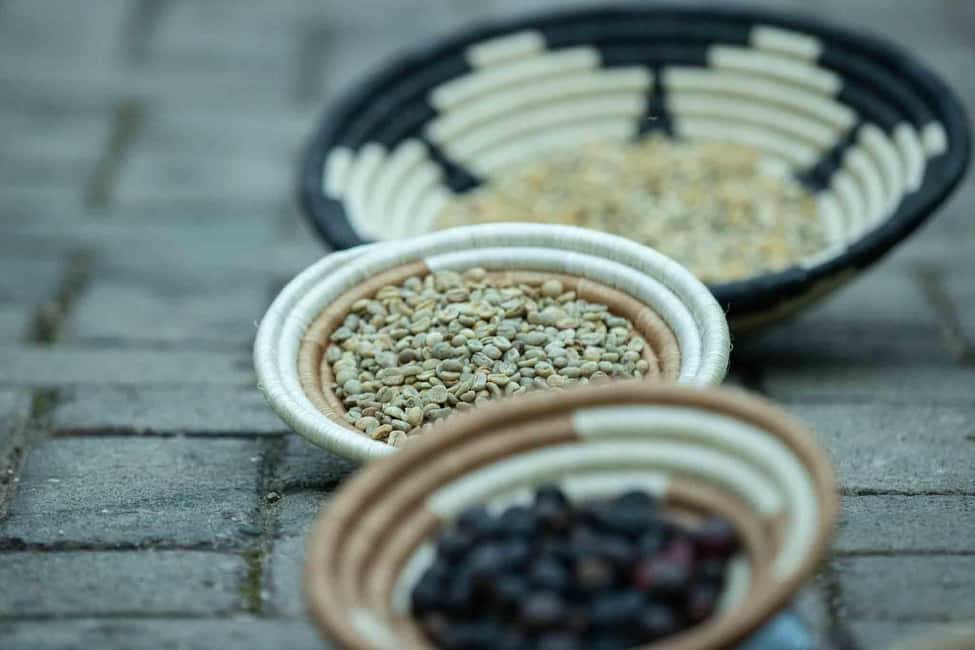 Kigali: Traditional Coffee Experience ( Bean to Brew) - Who will enjoy this most