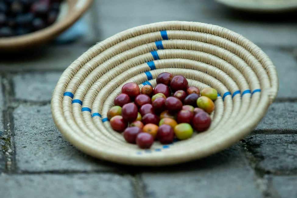 Kigali: Traditional Coffee Experience ( Bean to Brew) - Guides, languages, and the small-group feel