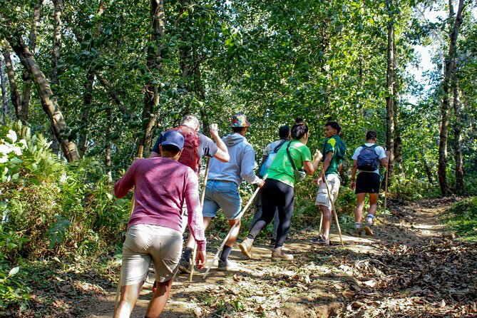 Local hills hiking - Key points before you book