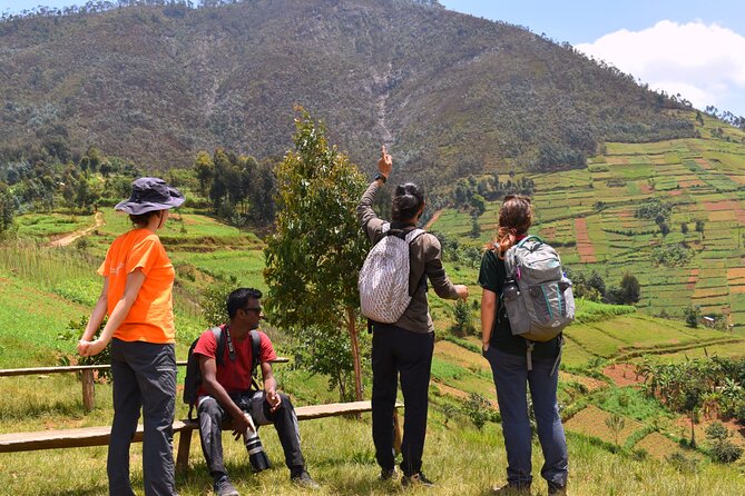 Mount Kabuye Hiking - Key points to know before you book
