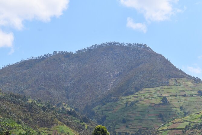 Mount Kabuye Hiking - Mushubi Primary School and rural life