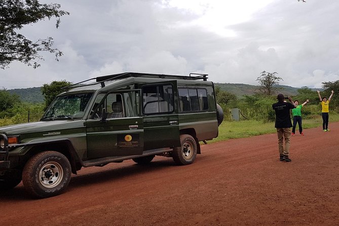 One-day Akagera National Park Game Drive with a Choice 4x4 - A short stop at Imigongo Art Center