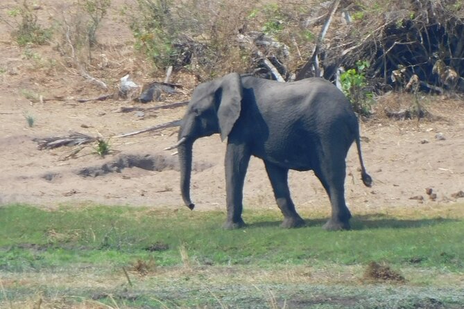 One Day Akagera Safari From Kigali - What the $400 price really covers