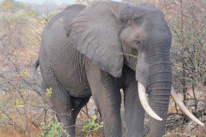 One Day Akagera Safari From Kigali - Who will enjoy this safari most