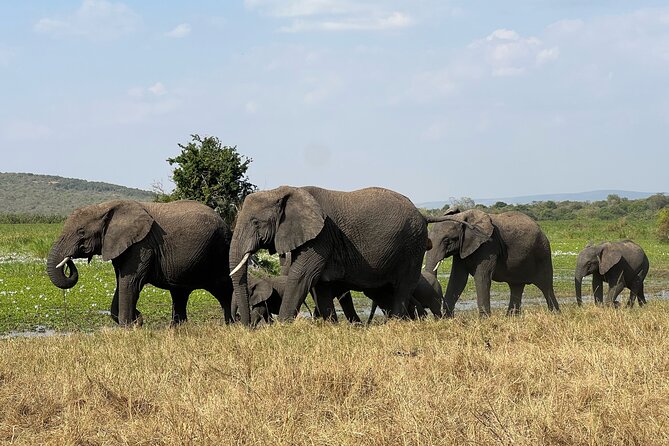 One Day Akagera Wildlife Safari - Lake Ihema Boat Cruise, When Selected