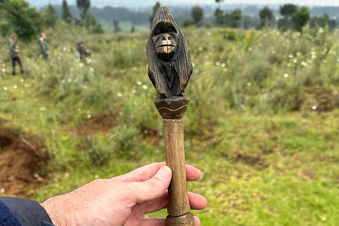One Day Gorilla Trekking Rwanda & Iby'iwacu Cultural Village - Entering Volcanoes National Park for the gorilla trek