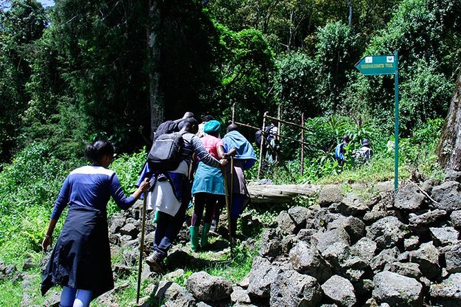One Day Mount Bisoke Hike Adventure Tour in Volcanoes Park - What Mount Bisoke offers at 3,711 meters