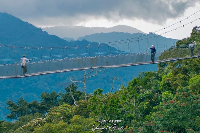 One Day Nyungwe National Park Tour& Canopy walk (2 Pax Min) - Key points before you book