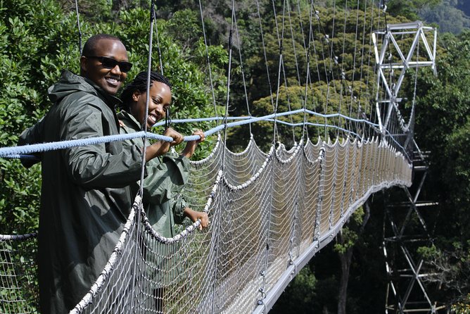 One Day Nyungwe National Park Tour& Canopy walk (2 Pax Min) - What five hours in the park really means