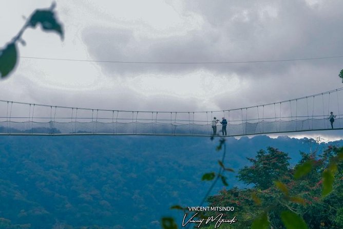 One Day Nyungwe National Park Tour& Canopy walk (2 Pax Min) - Who should book this Nyungwe day trip?