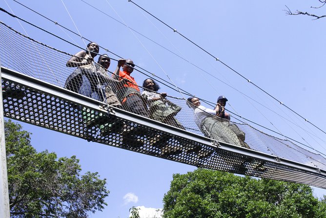 One Day Nyungwe National Park Tour& Canopy walk (2 Pax Min) - Booking details worth checking first